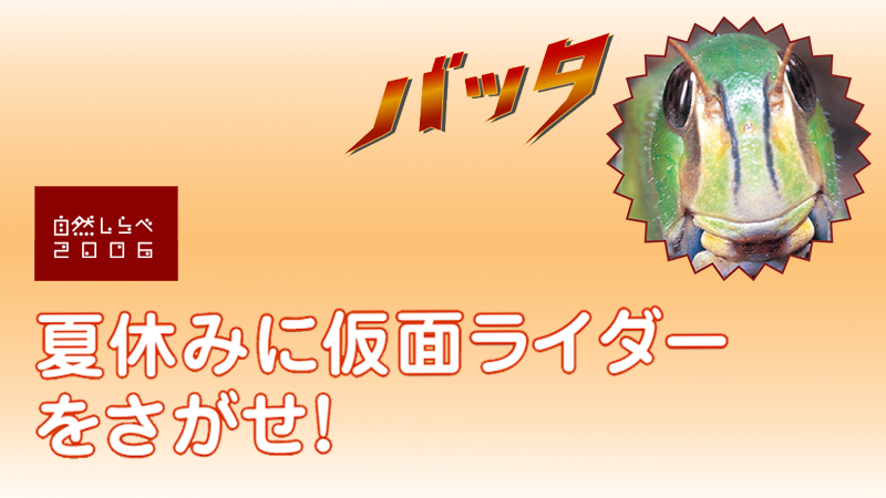 「夏休みに仮面ライダーをさがせ！」アイキャッチ