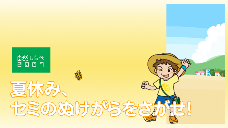 「夏休み、セミのぬけがらをさがせ！」アイキャッチ