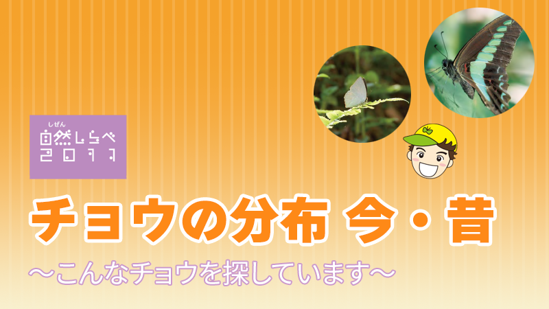 「チョウの分布　今・昔」アイキャッチ
