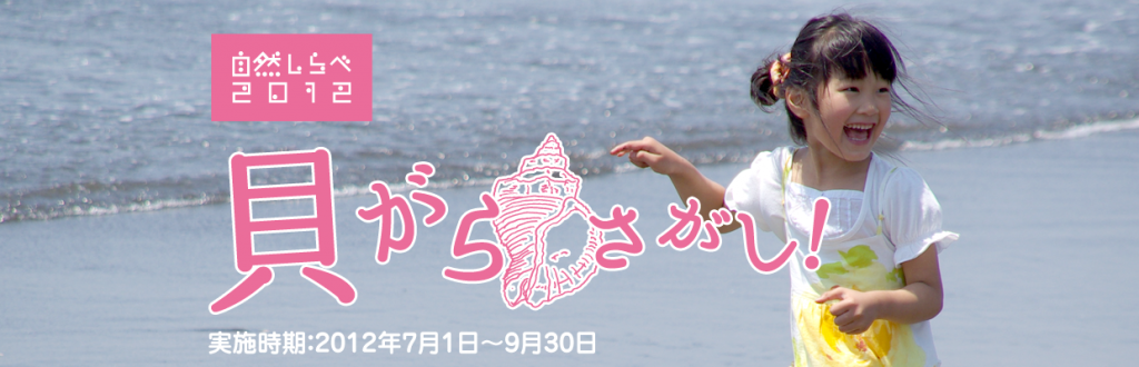 自然しらべ2012：貝がらさがし！