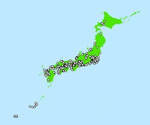 カメを持つ女の子の画像