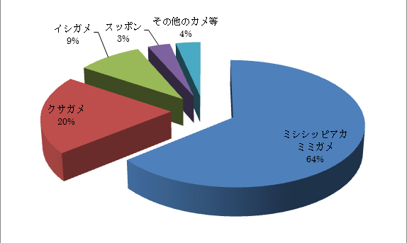 カメの画像