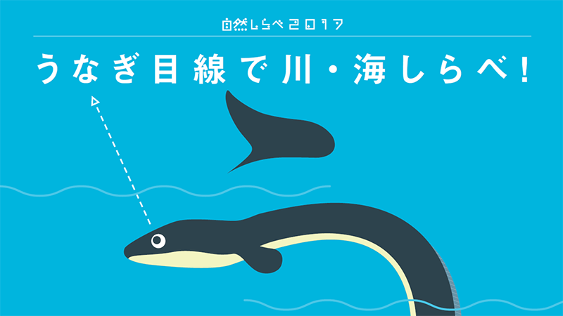 「うなぎ目線で川・海しらべ！」アイキャッチ