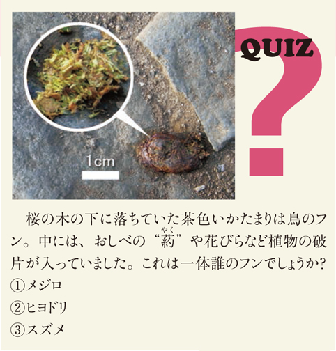 QUIZ