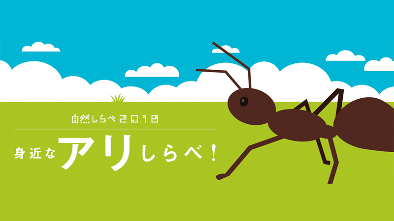 「身近なアリしらべ！」アイキャッチ