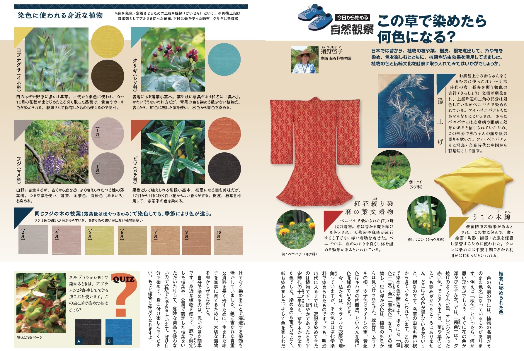 配布資料 今日から始める自然観察 この草で染めたら何色になる 日本自然保護協会オフィシャルサイト