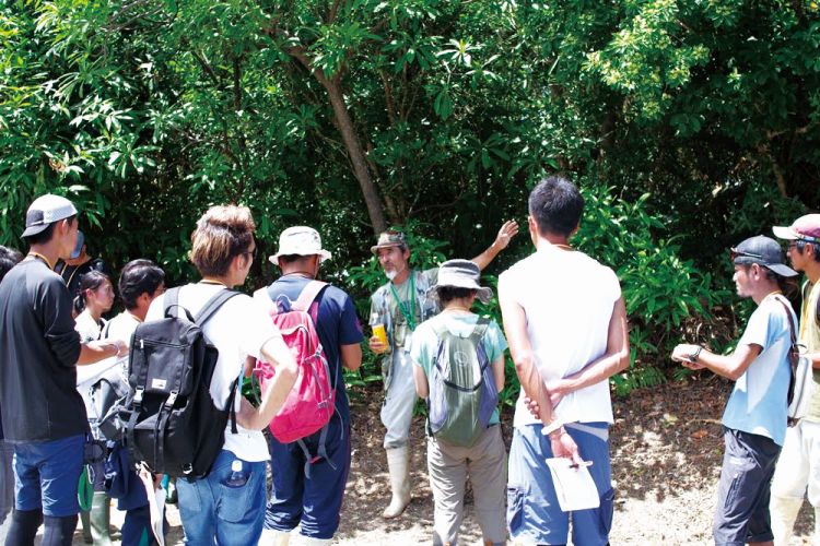 自然観察指導員講習会（写真）