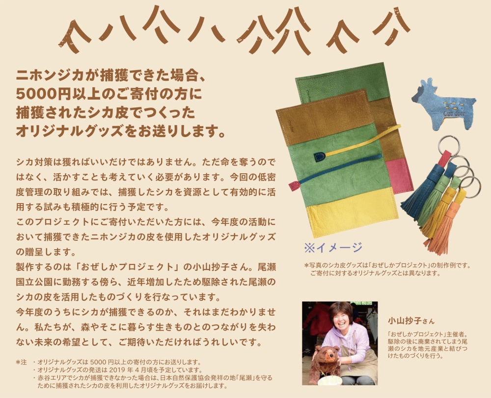 寄付のお願い シカと人の未来のためのプロジェクト2018 日本自然保護協会オフィシャルサイト