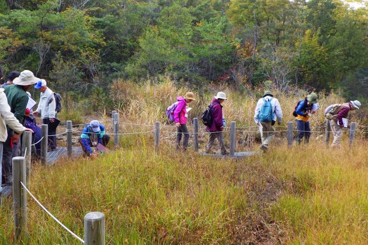 植物相調査の様子（写真）