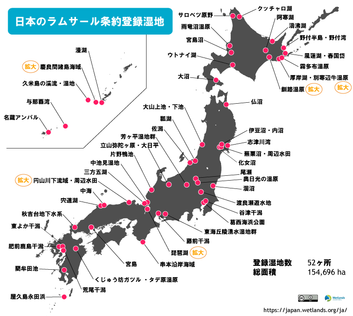 ラムサール条約登録地直送　生食可　採れたて殻牡蠣6kg  全国送料無料！