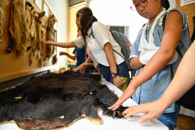 写真：ミュージアム見学