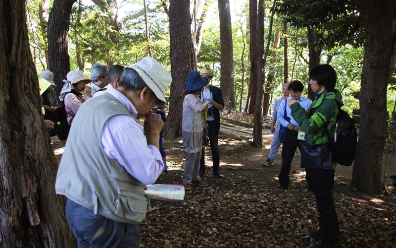 クスノキの香りをかぐ参加者たち