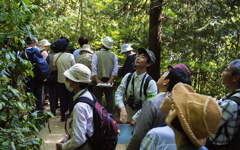 参加者と一緒に斜面林に生える樹木を観察