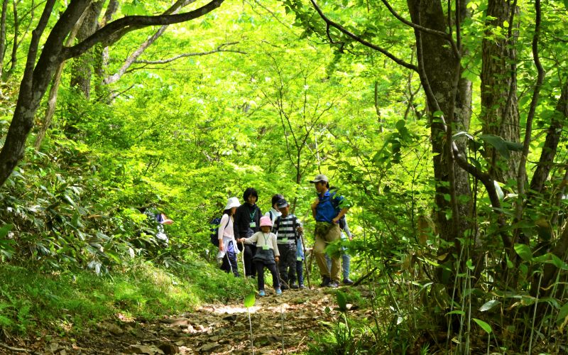 トレッキング風景（写真）