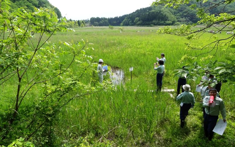 現地視察の様子（写真）