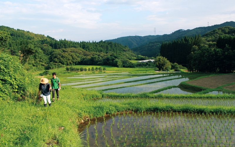 綾BR移行の里山の画像