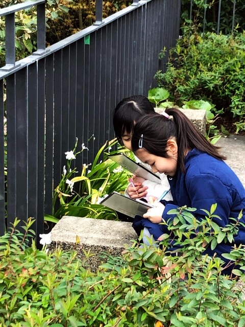 しゃがんで草花を観察する女の子二人（写真）