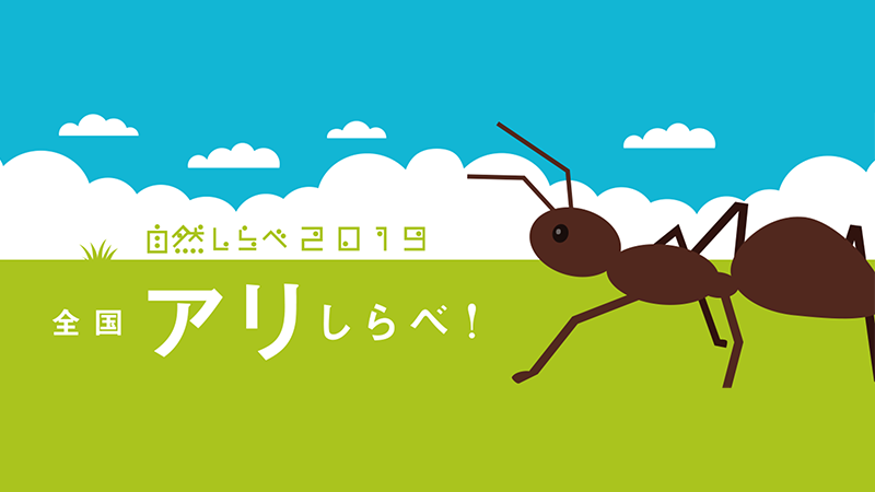 「身近なアリしらべ！」アイキャッチ