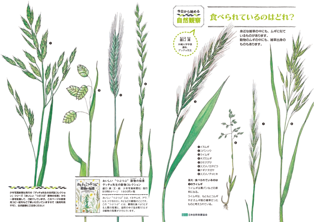 食べられているのはどれ 今日からはじめる自然観察 日本自然保護協会オフィシャルサイト