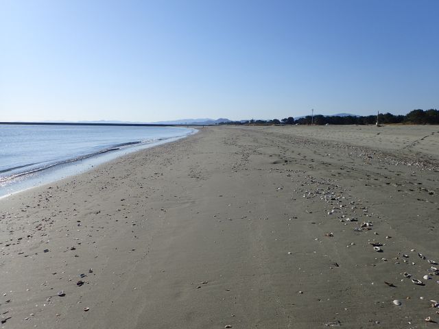 海岸の写真