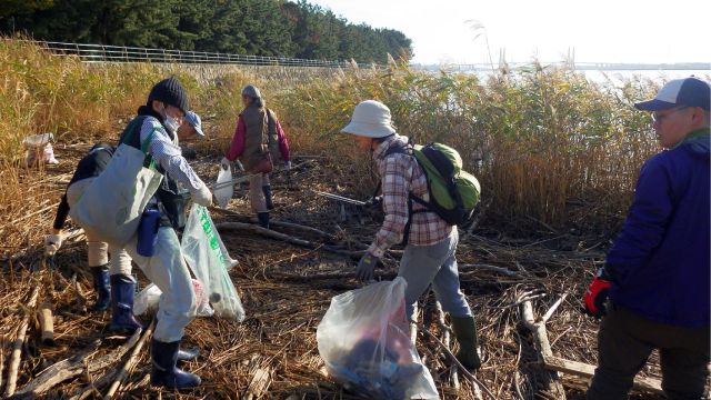 ゴミ拾いをする参加者の写真