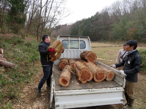 重そうな木材をトラックに載せる男性の写真