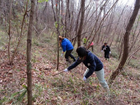 山の斜面の草刈りをする参加者