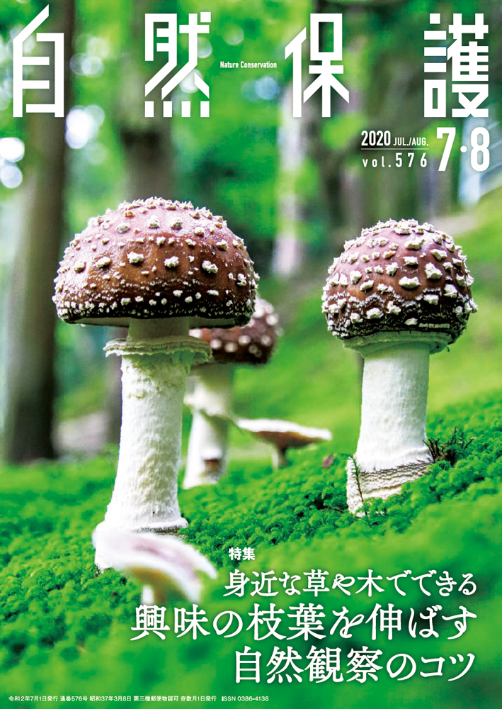 会報 自然保護 No 576 年7 8月号 特集 身近な草や木でできる 興味の枝葉を伸ばす自然観察のコツ 日本自然保護協会オフィシャルサイト