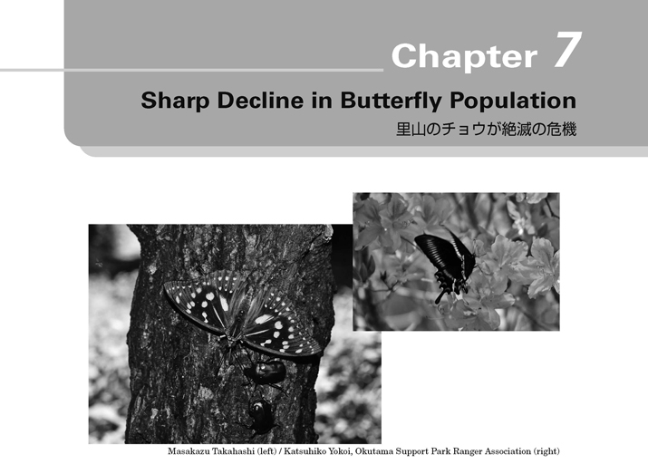 英語教科書P47Chapter7里山のチョウが絶滅危機の画像