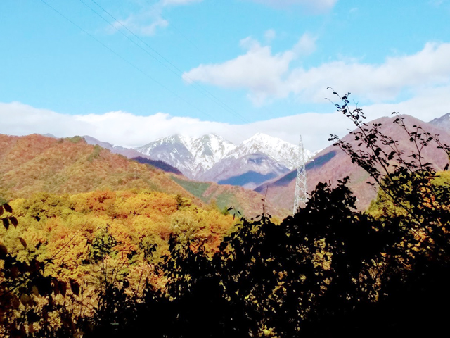 雪山と赤谷の森の写真