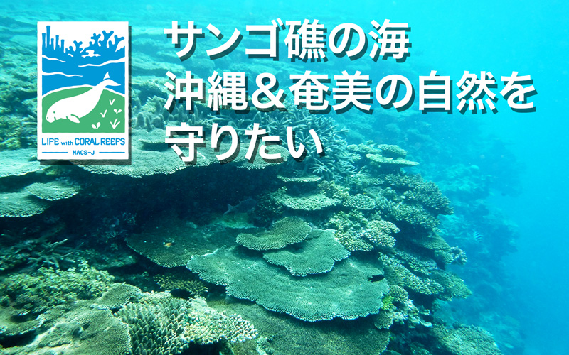 ご支援のお願い サンゴ礁の海 沖縄 奄美の自然を守る活動へのご支援をよろしくお願いします 日本自然保護協会オフィシャルサイト
