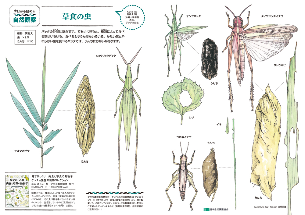 今日からはじめる自然観察ページの画像