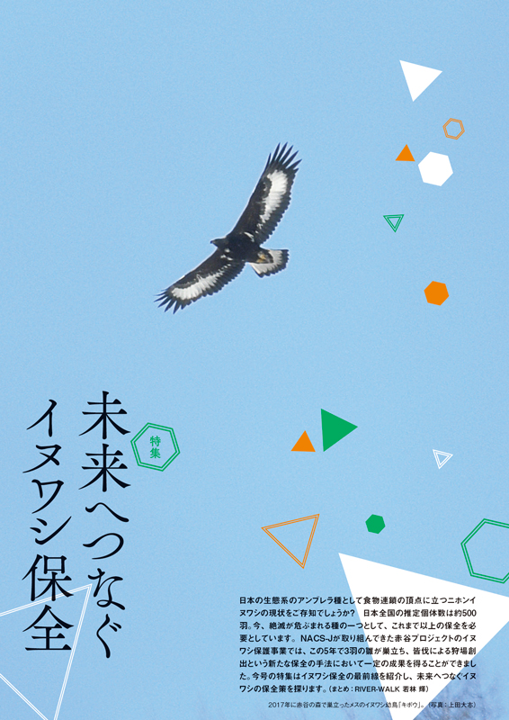 特集『未来へつなぐイヌワシ保全』ページの画像