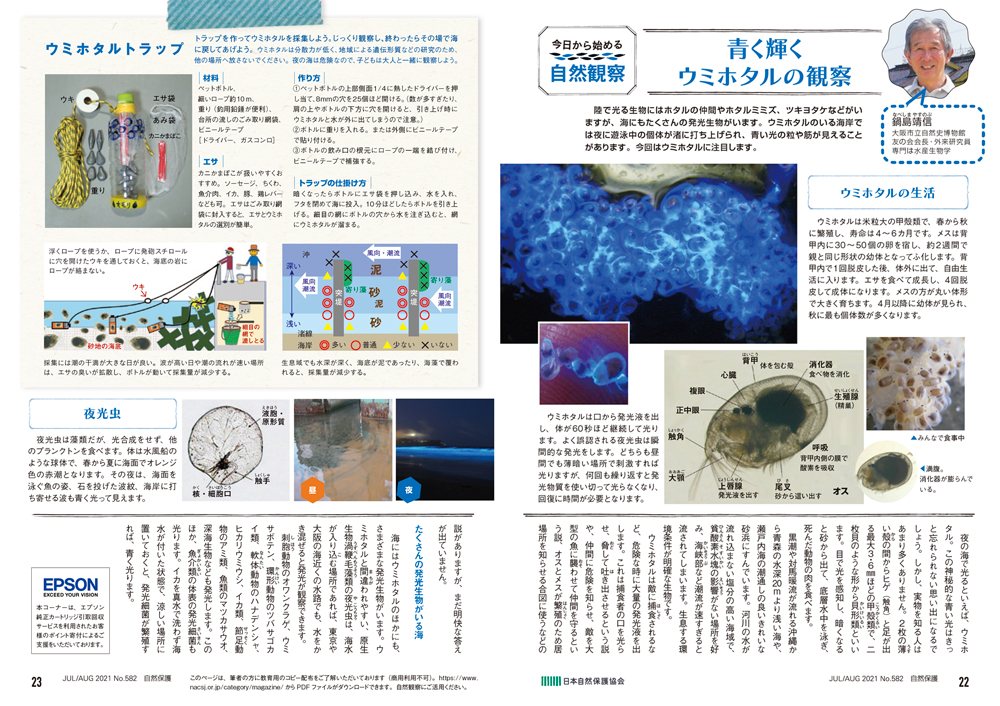 No582今日からはじめる自然観察ページの画像