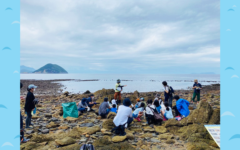 海岸で授業しているみどりの学校の写真風景