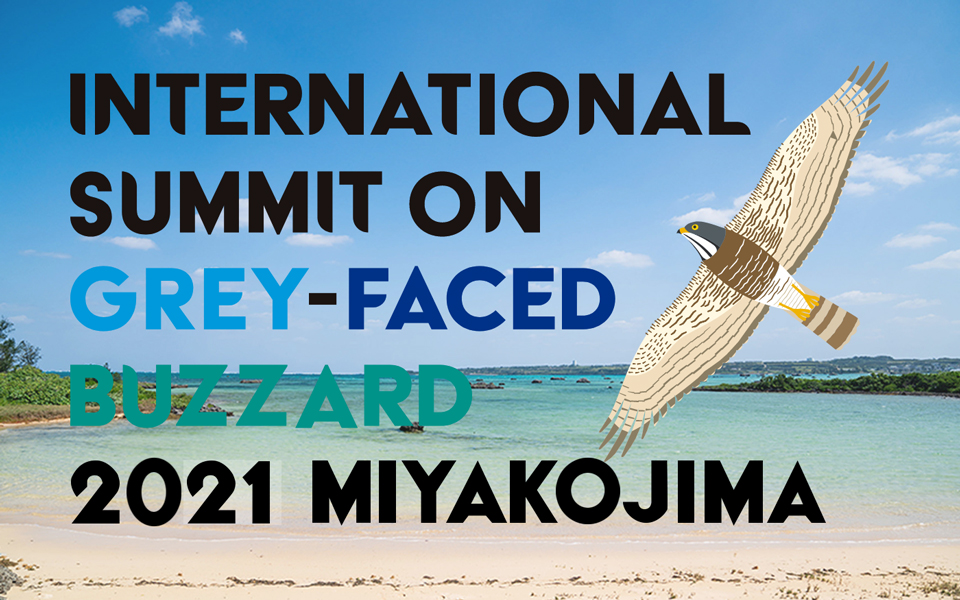 INTERNATIONAL SUMMIT ON GREY-FACED BUZZARD 2021 MIYAKOJIMA