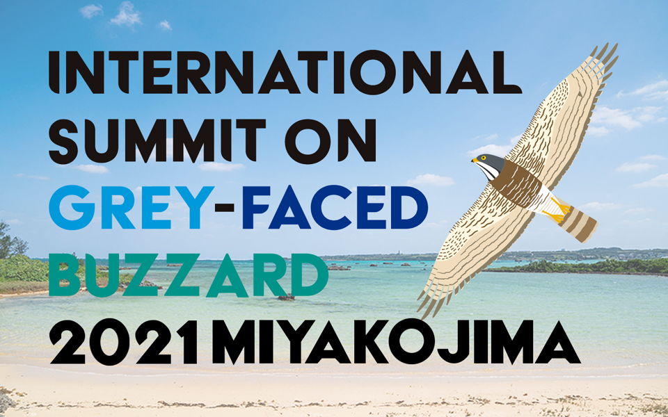 INTERNATIONAL SUMMIT ON GREY-FACED BUZZARD 2021 MIYAKOJIMA