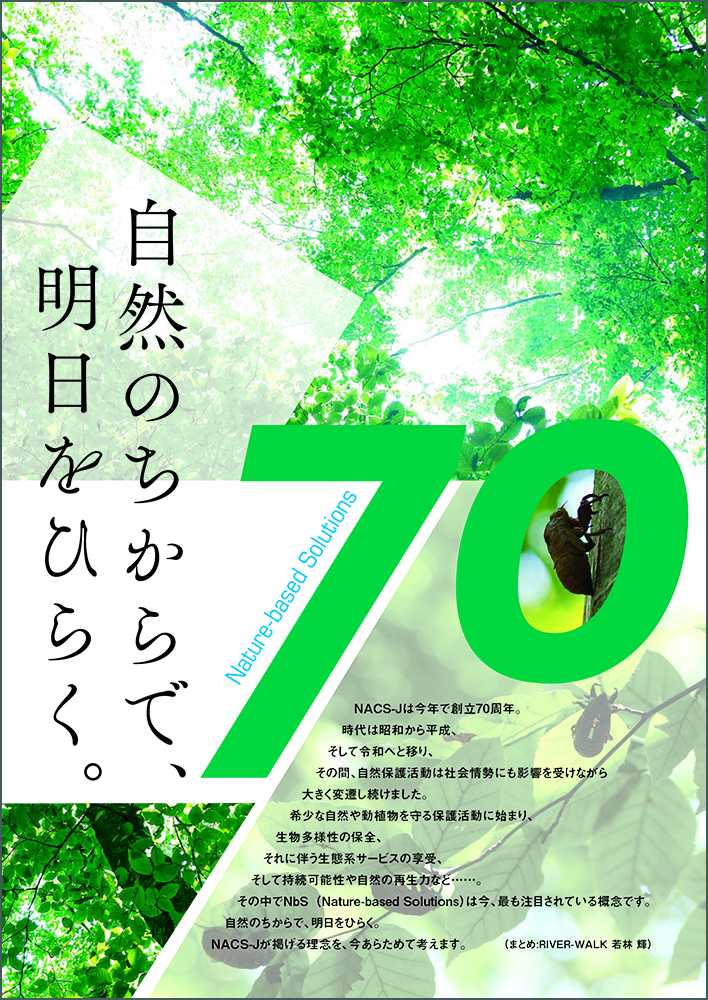 自然保護No582特集記事ページの画像