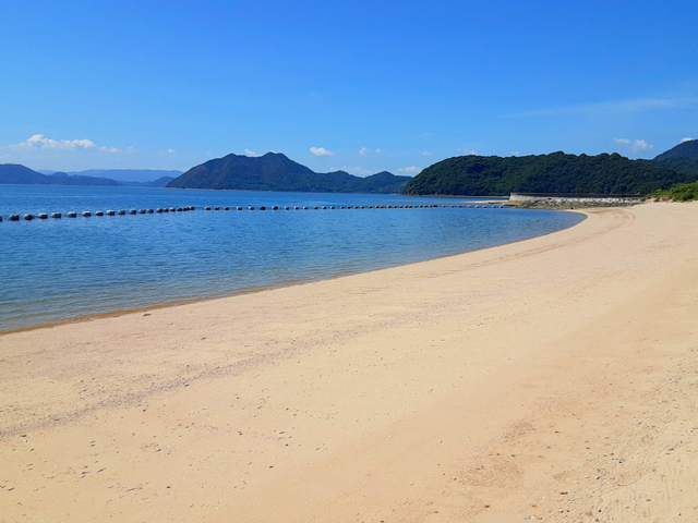 台海岸の写真