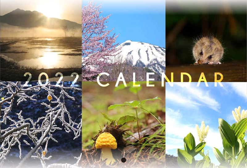 2022NACS-Jオリジナルカレンダーの画像