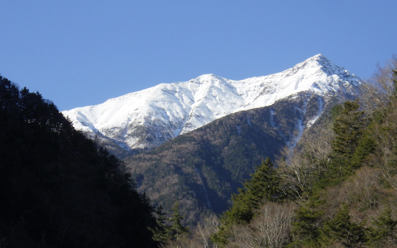 冠雪の赤石岳の写真