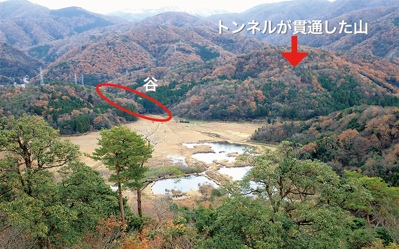 中池見湿地の写真