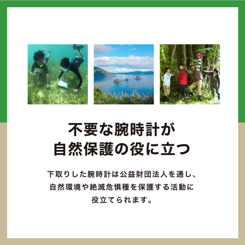 不要な腕時計が自然保護の役に立つ