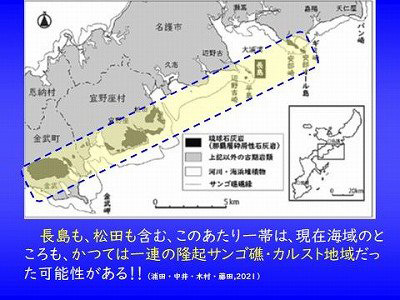 長島も、松田も含むこの一帯は、現在海域のところも、かつては一連の隆起サンゴ礁・カルスト地域だった可能性がある