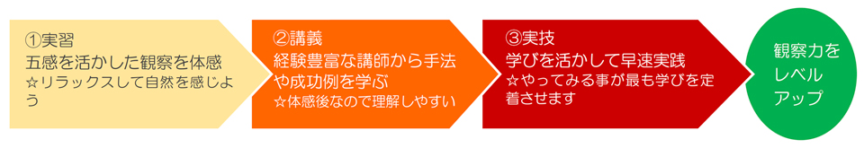 実習・講義・実技の３ステップで観察力をアップ