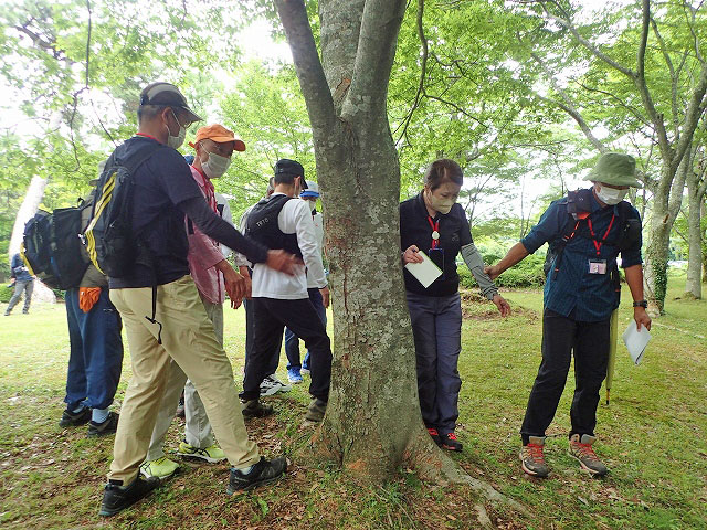 木の根を踏んでいる参加者の写真
