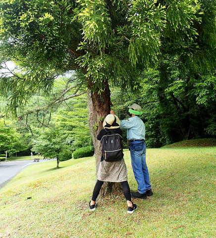 目隠しをして木の感触を確かめる参加者の写真
