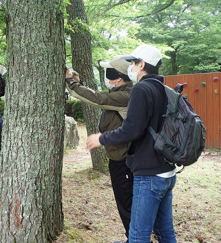 目隠しをして木の感触を確かめる参加者の写真