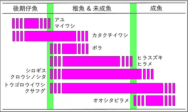 発育段階の３タイプ図