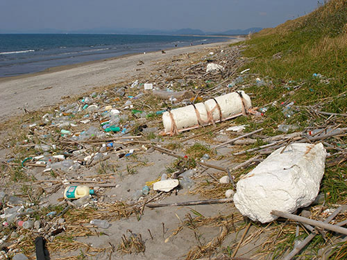 プラスチックごみがたまった砂浜の写真
